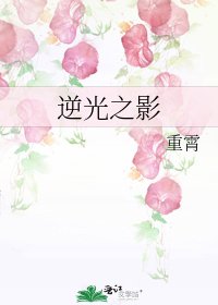 《逆光之影》