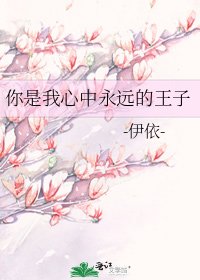 你是我心中永远的王子
