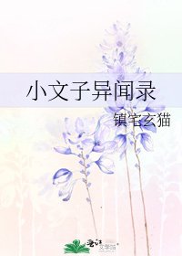 《小文子异闻录》