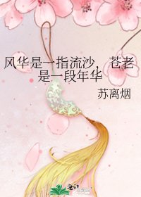 《風華是一指流沙,蒼老是一段年華》
