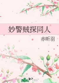 《妙警賊探同人》