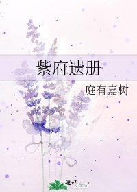 《紫府遺冊》