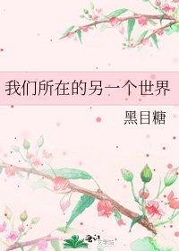 《我們所在的另一個世界》