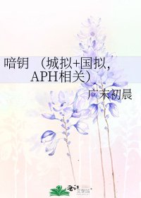 《喑钥 (城拟+国拟,APH相关)》