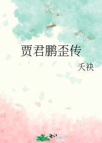 《贾君鹏歪传》