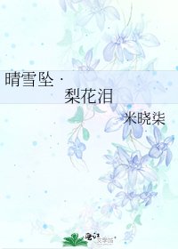 晴雪坠•梨花泪