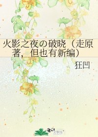 《火影之夜の破曉(走原著,但也有新編)》