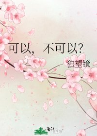 《可以,不可以?》