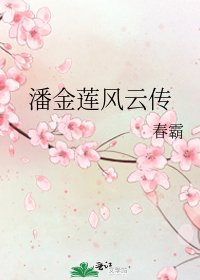 《潘金蓮風雲傳》