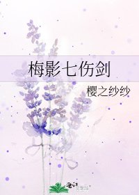 《梅影七傷劍》