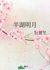 《半湖明月》