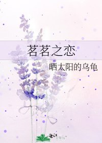 《茗茗之恋》