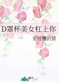 《D罩杯美女杠上你》
