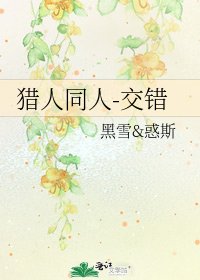 《猎人同人-交错》