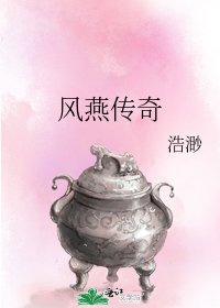 《风燕传奇》