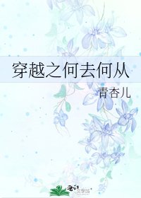 《穿越之何去何從》