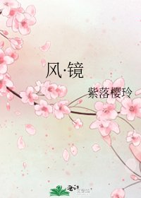 《风·镜》