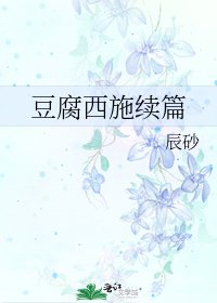 《豆腐西施續篇》
