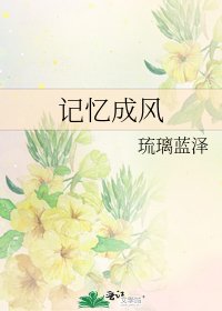 《记忆成风》