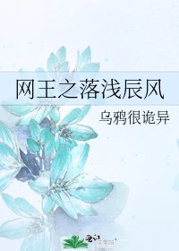 《網王之落淺辰風》