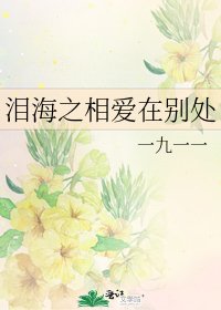 《泪海之相爱在别处》