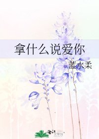 《拿什麼說愛你》