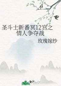 圣斗士新番冥12宫之情人争夺战