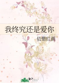 《我终究还是爱你》