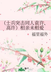《(士兵突击同人袁许、高许)相亲未相爱》