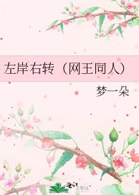 《左岸右轉(網王同人)》