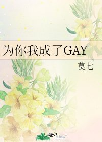《为你我成了GAY》