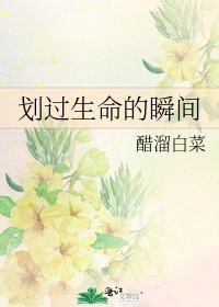 《划过生命的瞬间》
