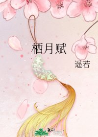 《栖月赋》