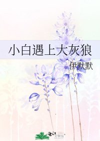 《小白遇上大灰狼》