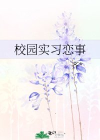 校园实习恋事