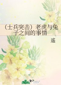 《(士兵突擊)老虎與兔子之間的事情》