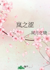 《岚之涩》