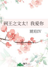 网王之文太!我唉你