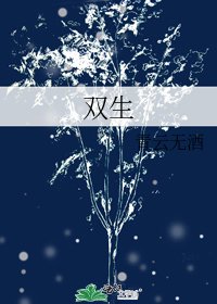 《双生》