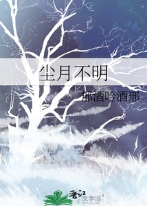 《尘月不明》