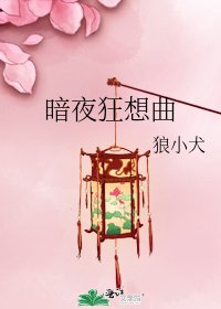 《暗夜狂想曲》
