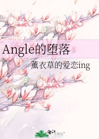《Angle的堕落》