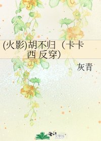 《(火影)胡不歸(卡卡西 反穿)》