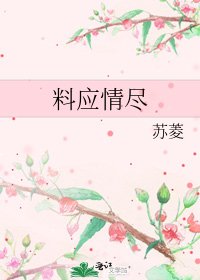《料应情尽》