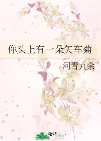 《你头上有一朵矢车菊》