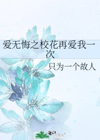《爱无悔之校花再爱我一次》