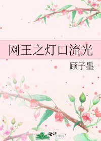 《网王之灯口流光》