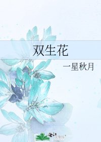 《双生花》