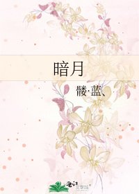 《暗月》