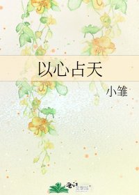 《以心佔天》